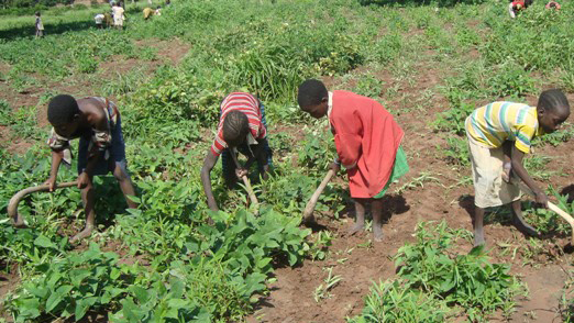 Photo de jeunes filles labourant un champs